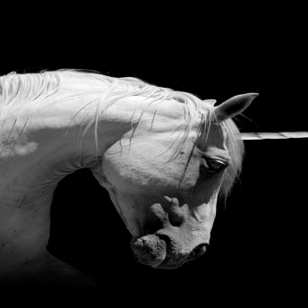 How to build a unicorn in the post-pandemic inflationary world